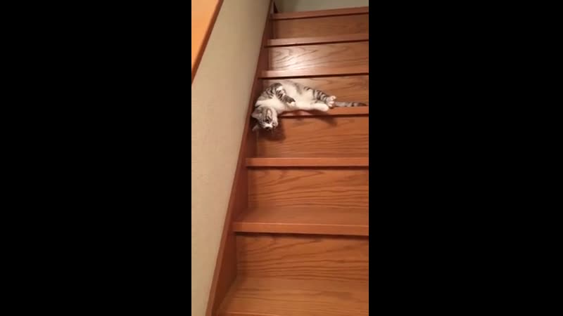 Ножки устали ножки болят