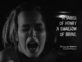 A smell of honey, a swallow of brine (1966, usa, dir byron mabe)