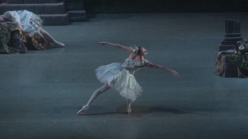 Svetlana ivanova in the awakening of flora