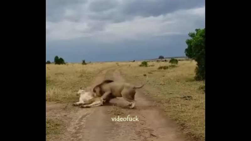 Укусил за попку