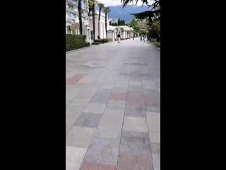 Открытая ялта® live