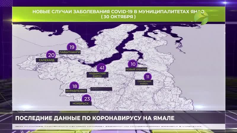 Карта распространения коронавируса по янао на 30 октября 2020