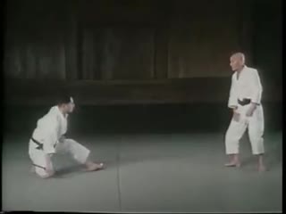 Karate wado ryu