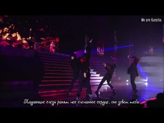 [karasia] gyuri tango + daydream