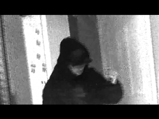 Freddie dredd little bitch (music video)