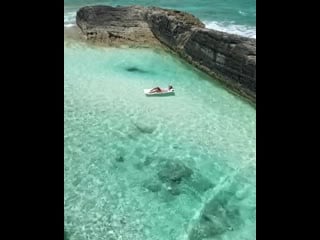 Stella maris, long island, bahamas