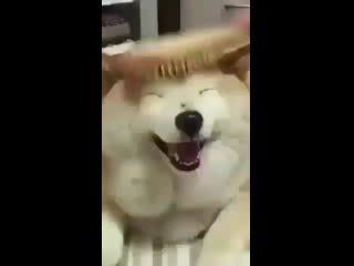 Yoonmin by porn ⁺¹⁸