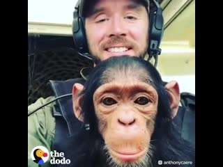 This pilot let a rescued baby chimp ride on his lap for the sweetest reason