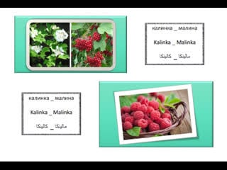 Калинка малина kalinka malinka كالينكا مالينكا