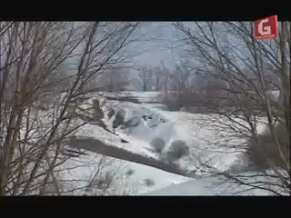 Живе багатство україни харківський зоопарк