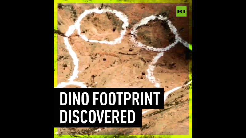 100 million year old dinosaur footprint accidentally discovered in restaurant