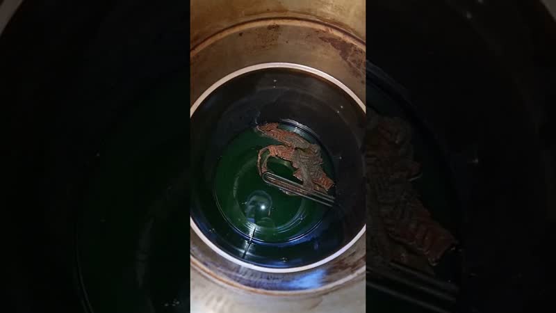 Ошибки самогонщика медная рпн упала в куб #самогон #перегонка #рпн #ошибки