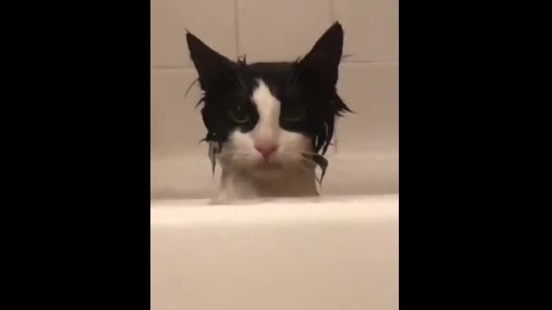 Whеn yоu rеalizе that his rеvеngе will bе tеrriblе