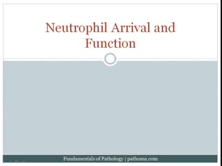 2 1 acute inflammation (part 2)