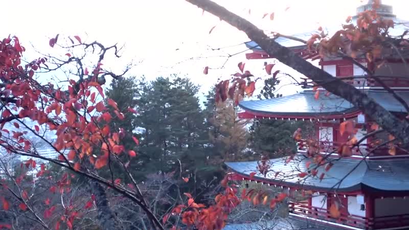 [стас давыдов] озёра и туалеты японии 🚲 (япония на велосипеде part2)