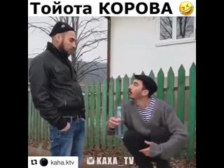 Тойота корова