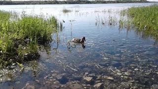 Секс Знакомства Онега. Найди любовь, друзей, вирт и секс!