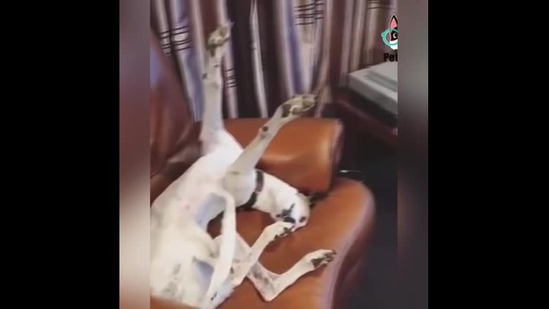 (смешные молодые) как они спят 😂