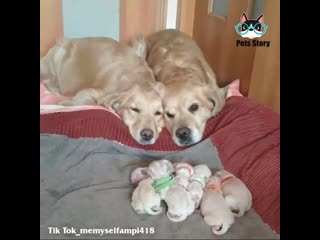 Семейная идиллия💖