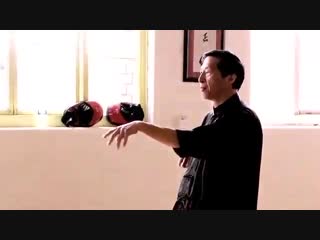 Master samuel kwok and sifu steve dyde wing chun forms