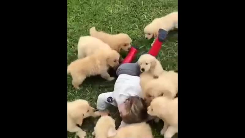 Chip key загрызли