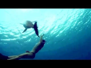 Eximinds & natalie gioia ill be your angel (original mix) | trance