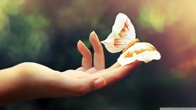 Онлайн розыгрыши по ресурсам генератор случайных чисел