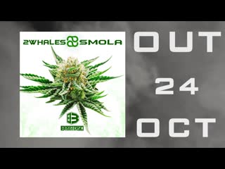 2whales smola video preview