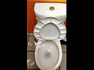 Клип сообщества porn pornohub порнохаб pornhab pornohab 2022