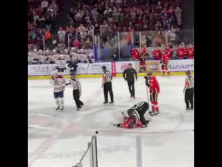 Ледовое побоище