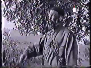 A través de las espinas