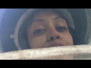 10,000 bees porn beekeeper liza koshy