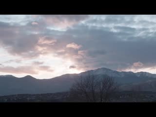 Ufc 246 embedded эпизод 3 mp4