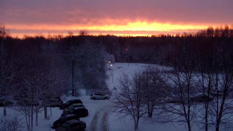 Рассвет из лесного общежития