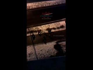 Дебош пьяных молодые