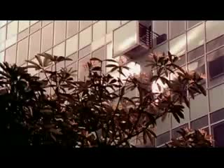 Fiona sit & khalil fong 薛凱琪&方大同 復刻回憶