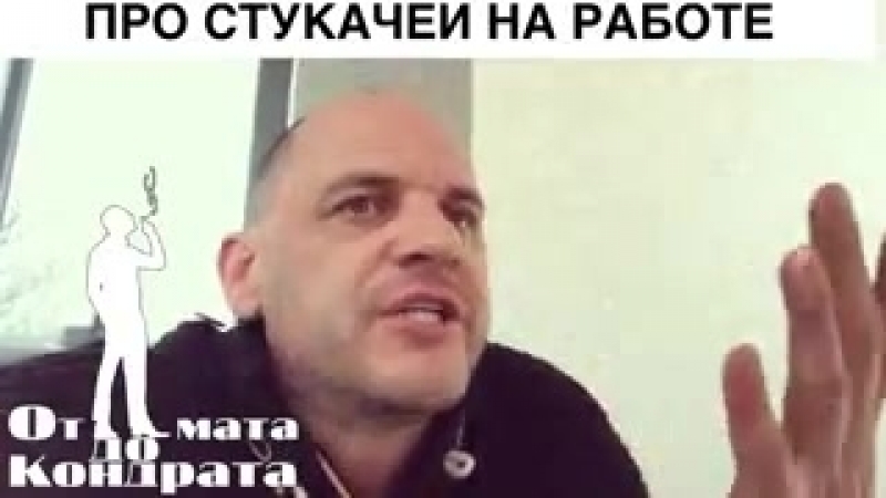 Стукачи на работе стук стук