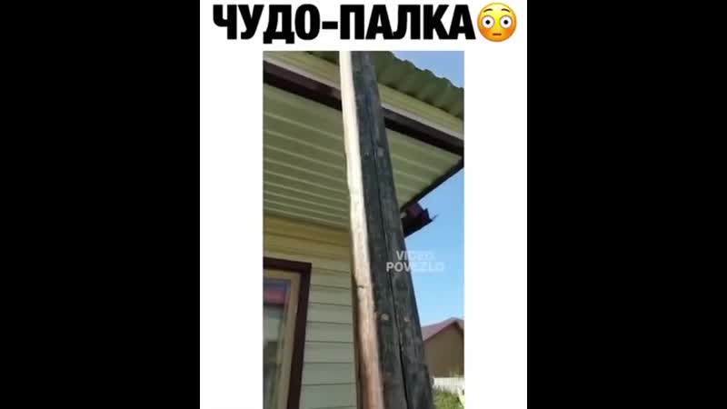 Волшебная палочка