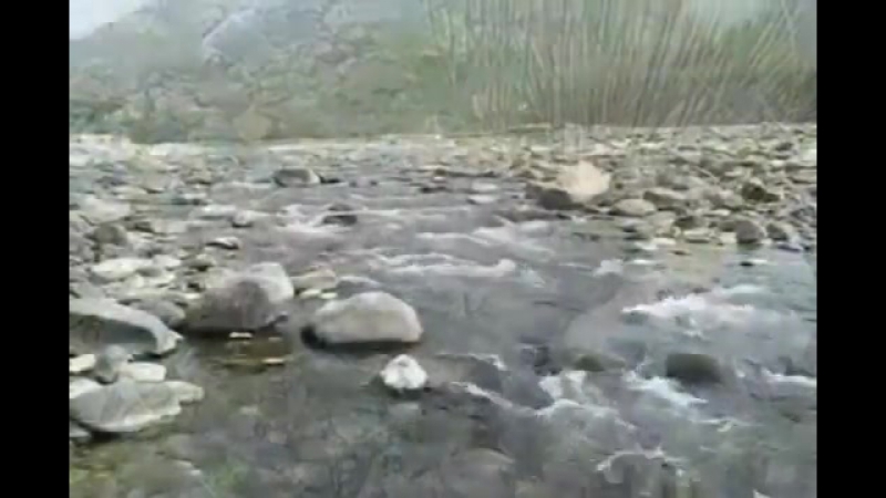 Om namah shivay babaji flv