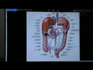 4 модуль, семинар 6(висцеральная сфера)день 2, ч 7