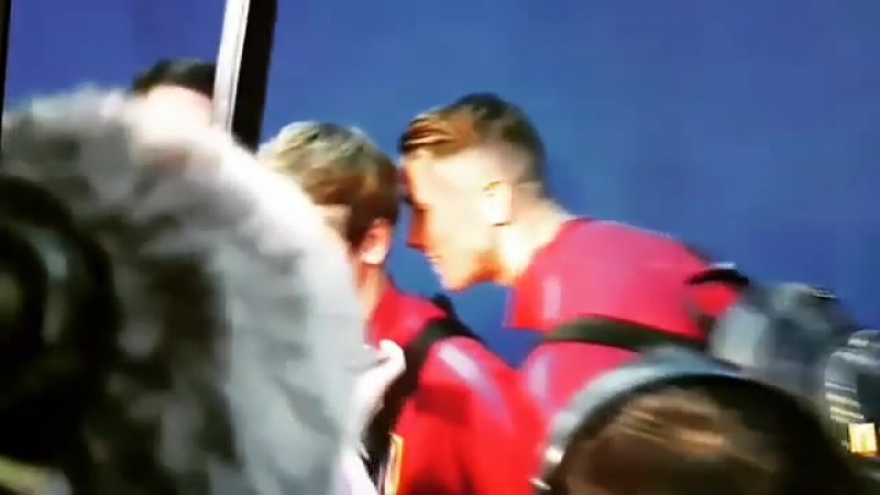 Fernando torres / griezmann
