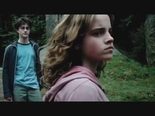 Гермиона грейнджер / hermione granger | гарри поттер / harry potter