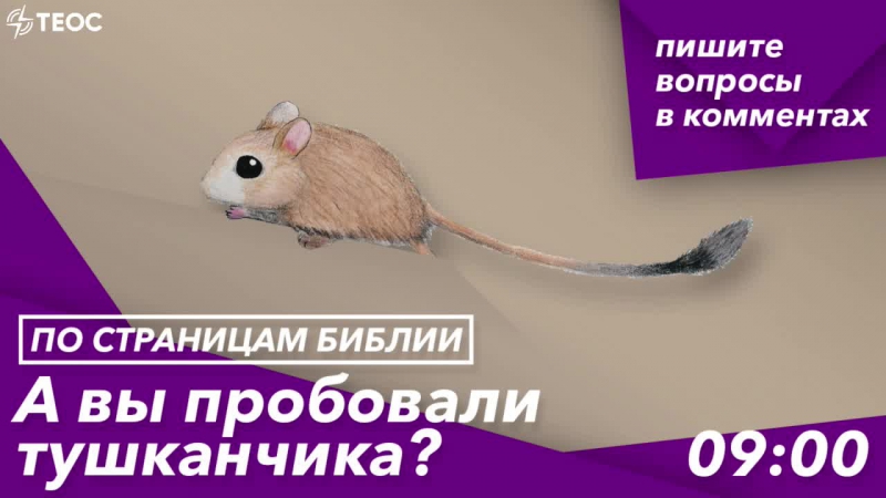 Книга левит а вы пробовали тушканчика?
