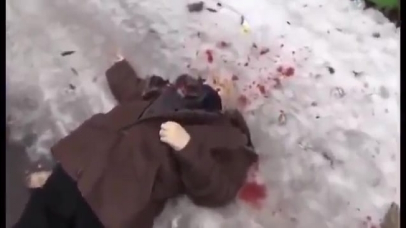 (18+++++) о порошенко и киевско жидовской хунте прямым текстом "ну дайте мне этого пид@ра!"