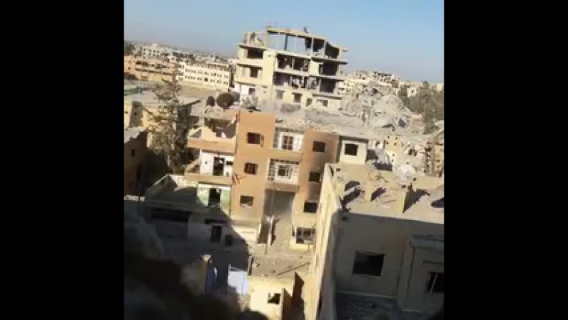 Сафари в ракке