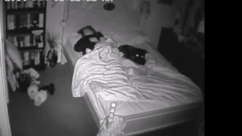 5 реальных случаев когда домового сняли на камеру