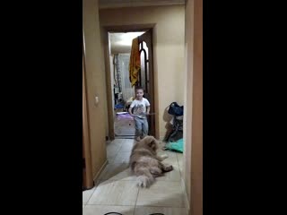 Vid 20191019 214035 mp4