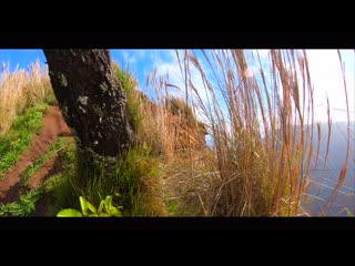 Кауаи 01 хребет калепа (2019) mkv