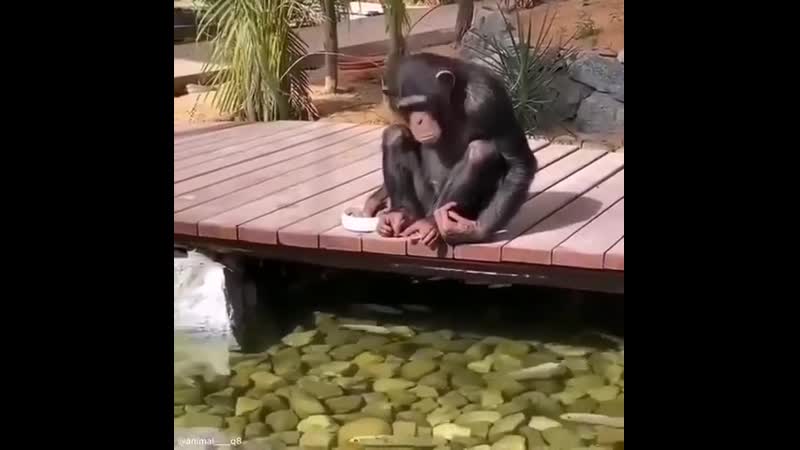 Милые молодые