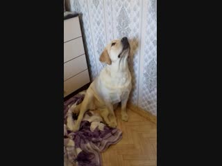 Мотя делает "зайку"